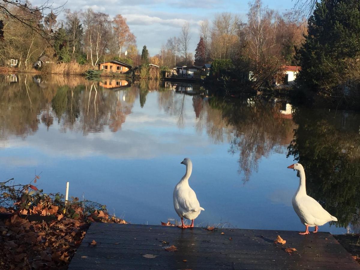 Vakantiehuisje De Waterhoek ゲール エクステリア 写真